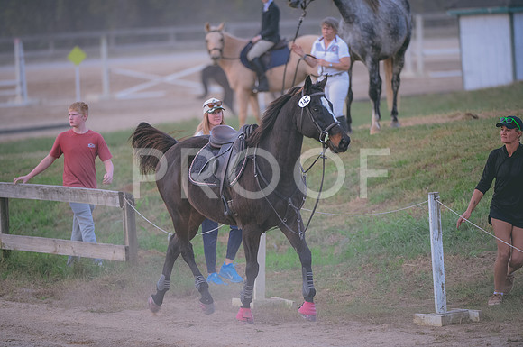 JJS_3834