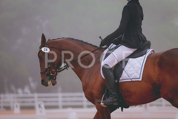 JC5_0394