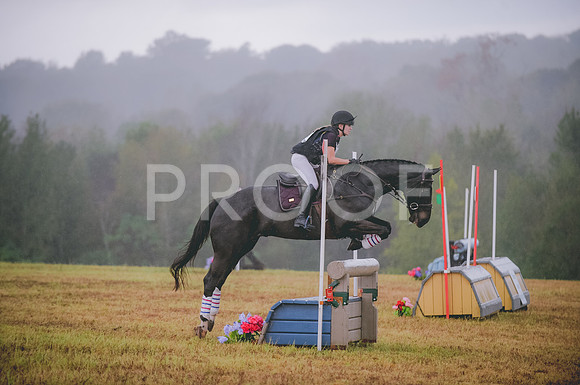 JJS_3496