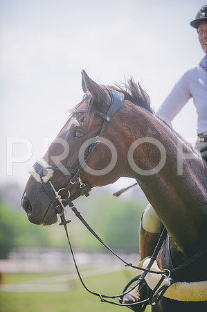 JJS_0191