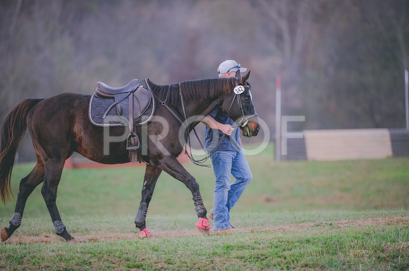 JJS_3876