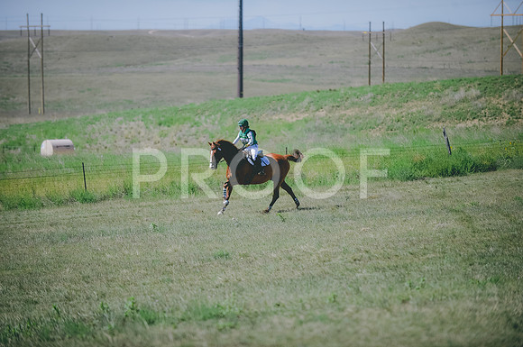 JJS_8011