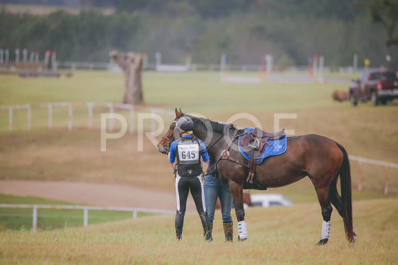 RWP_3092