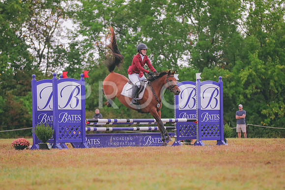 402A6017