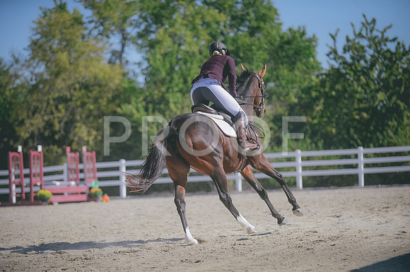JJS_0701