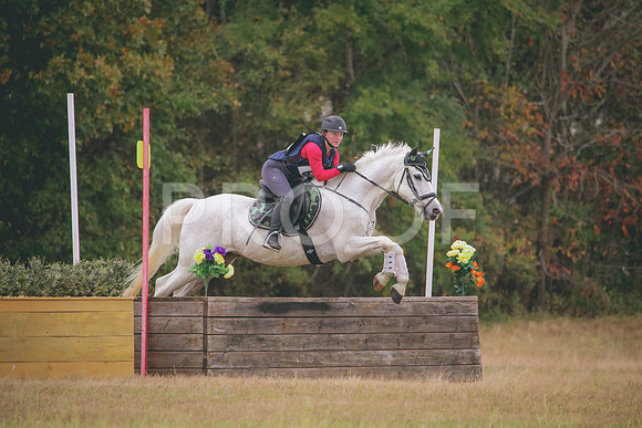 RWP_3329