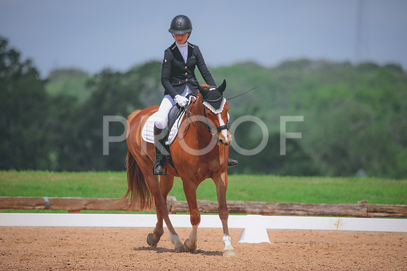 RWP_4411