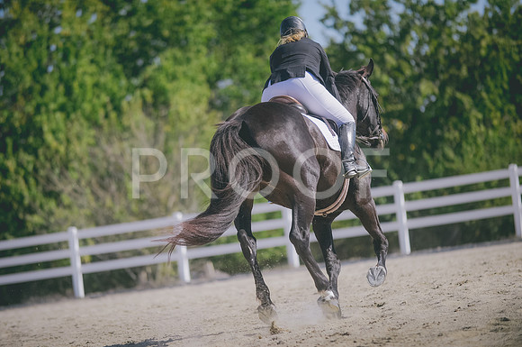 JJS_0929