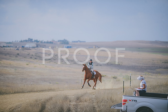 JJS_1775
