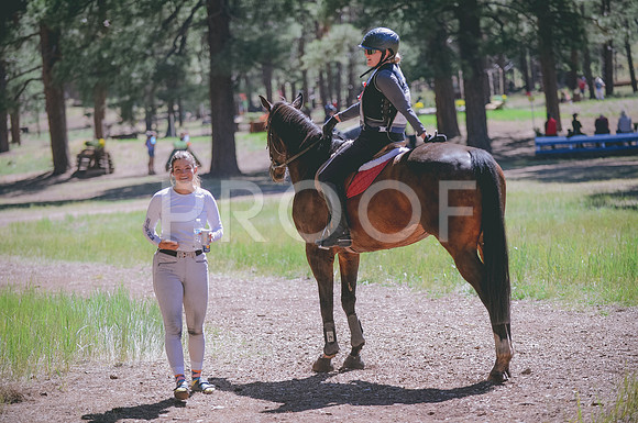 JJS_3861A
