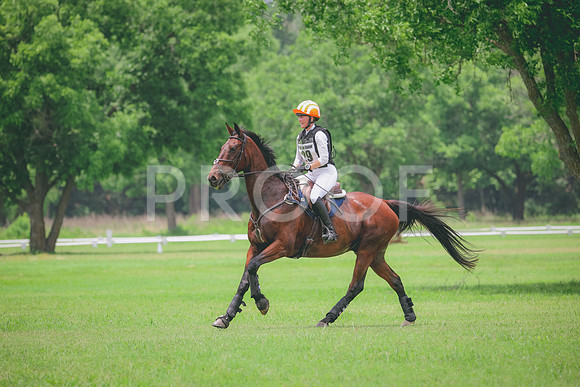 RWP_2328