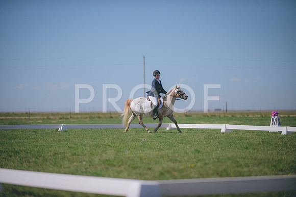 JJS_2685