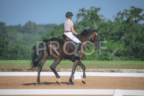RWP_4633
