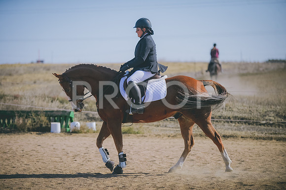 JJS_4186