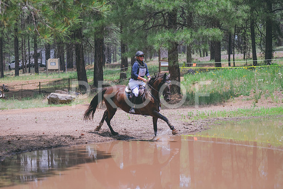 BBB_4644