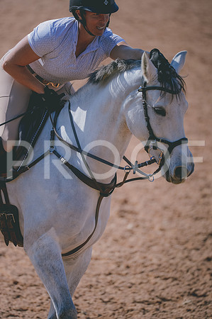 JJS_8134