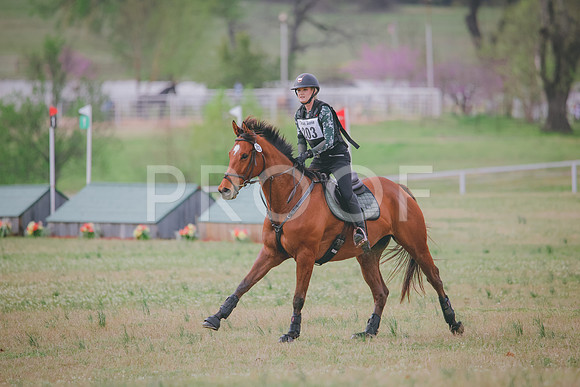 RWP_8524