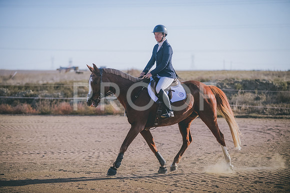 JJS_8287