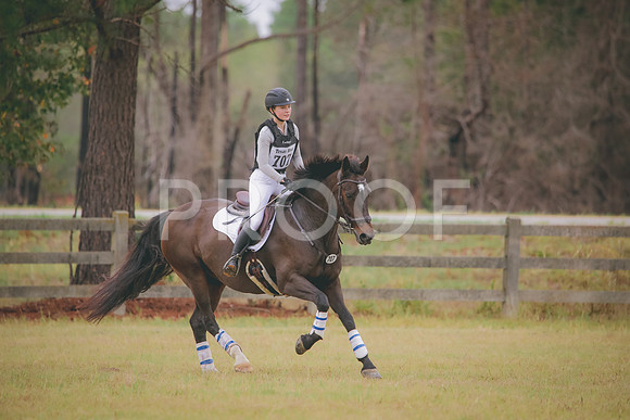 RWP_3778