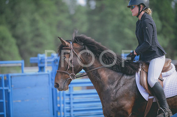 JJS_8939