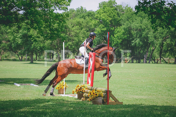 RWP_3963