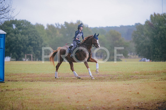 JJS_3561
