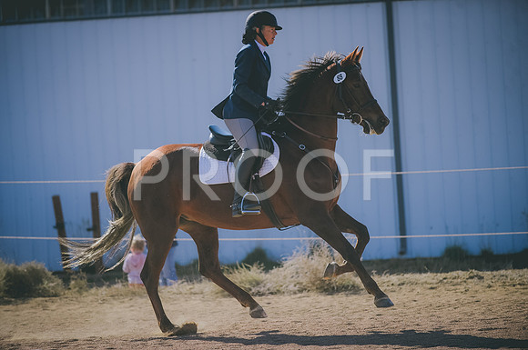 JJS_3676