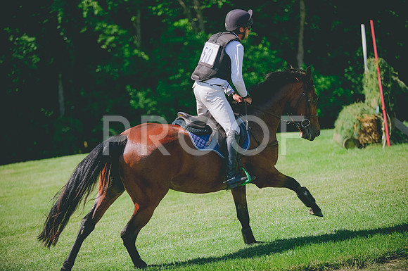 JJS_3929