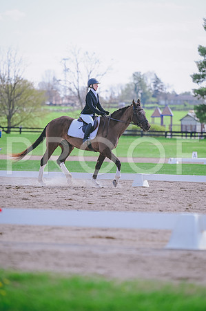 DSC_0485 copy