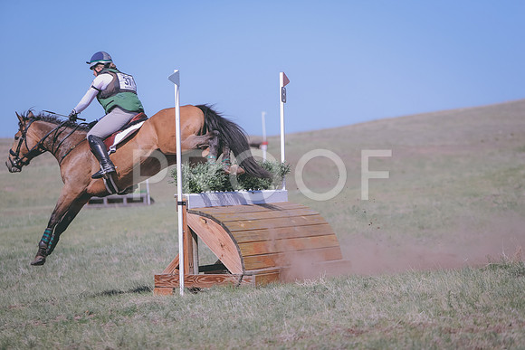 CDH_9939