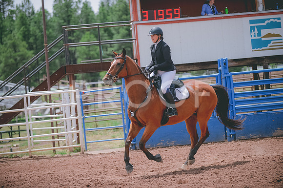 JJS_0379