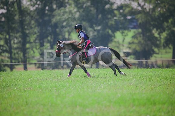 RWP_6418