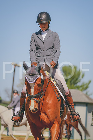 EE5A4366