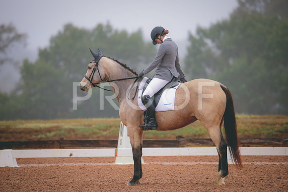 RWP_1126