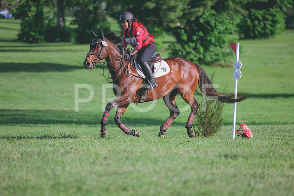 0N0A6997
