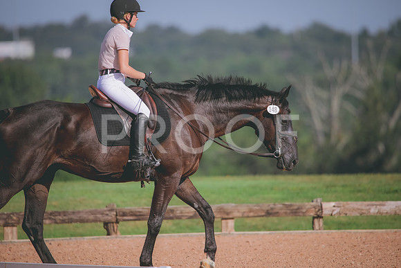RWP_4663