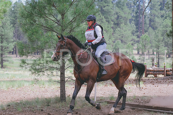 DSC_2824