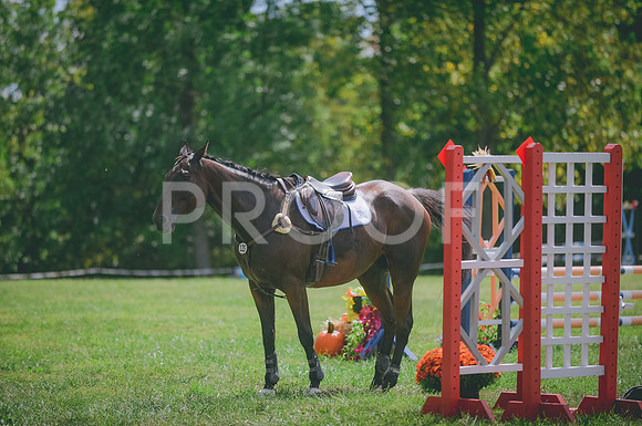 JJS_2340