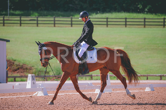 RWP_9819