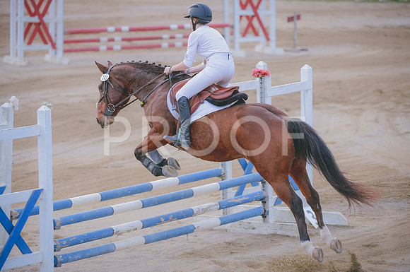 JJS_2481