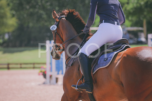 RWP_5207