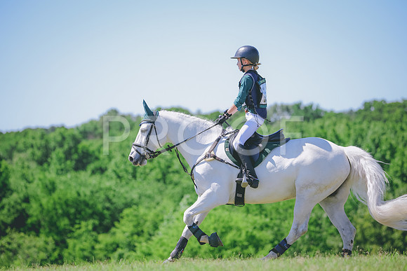 RWP_1195
