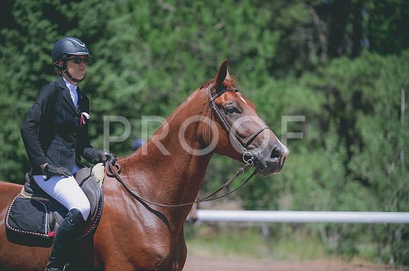 JJS_1182