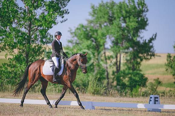 AMA_3682