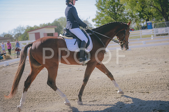 JJS_2331