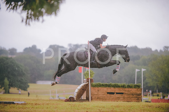 JJS_3513
