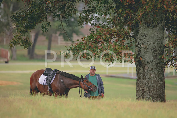 RWP_3421