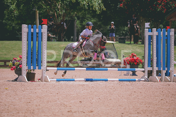 RWP_5832