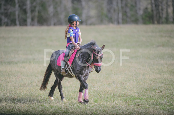 JJS_0662
