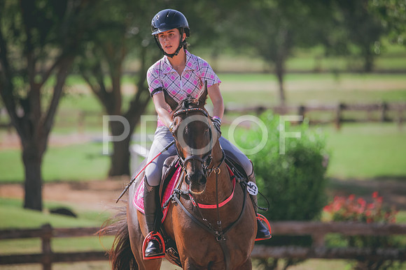 RWP_4779